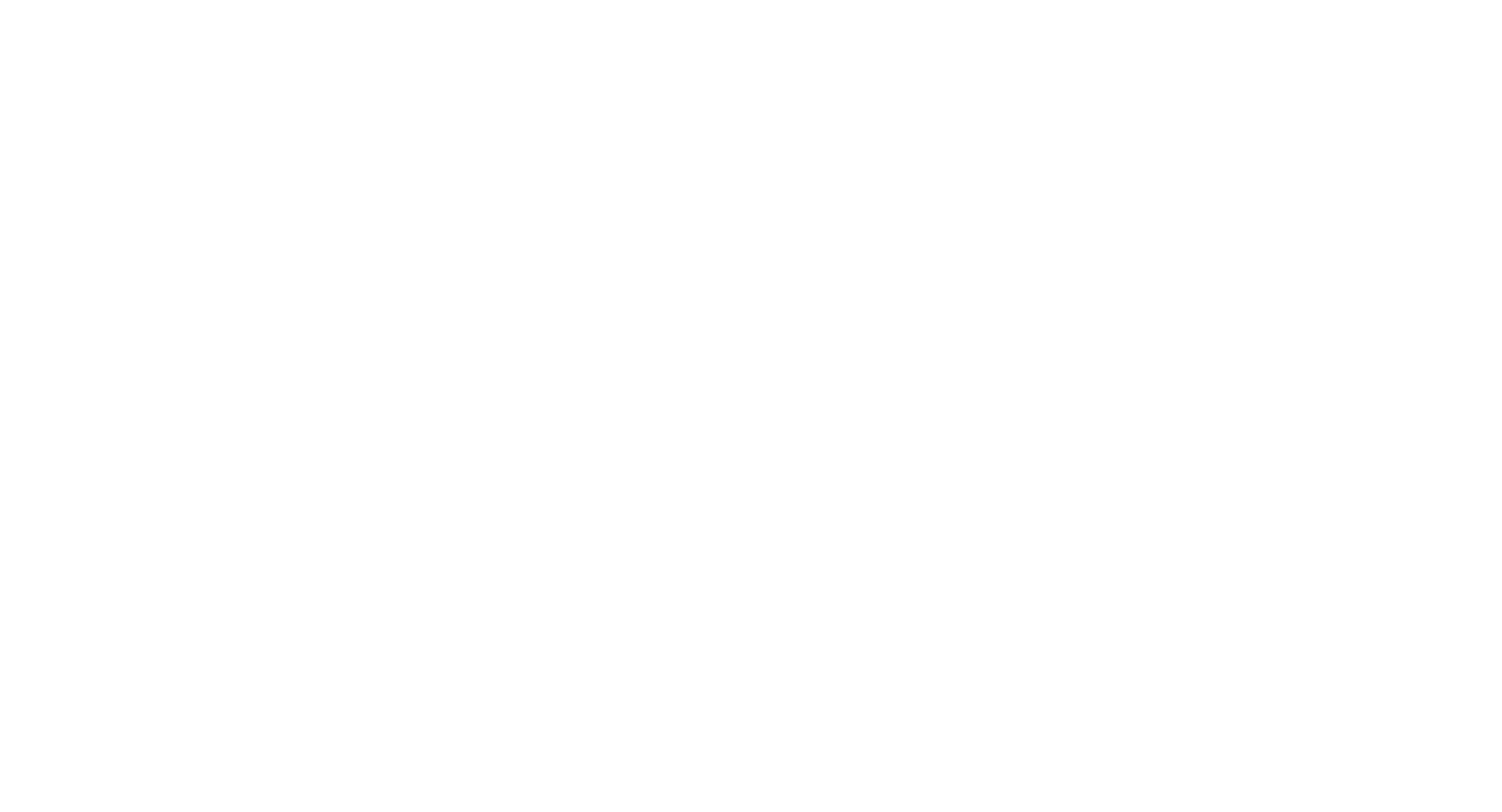 Leviat logo